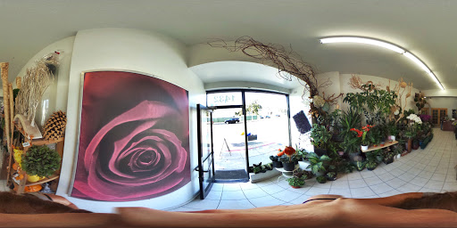 Florist «Santa Monica Florist», reviews and photos, 1432 Santa Monica Blvd, Santa Monica, CA 90404, USA