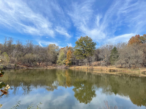 Dogwood Trail