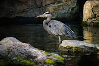 Todd Reynolds Photography - Photo 4 - Car repair in Arlington, WA, Marysville