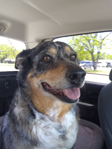 State Park «Lyndon B. Johnson State Park & Historic Site», reviews and photos, 199 Park Road 52, Stonewall, TX 78671, USA