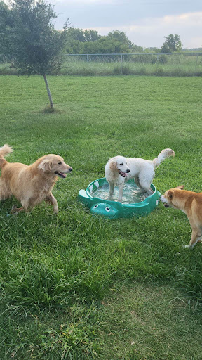 Coastal Paws Pet Lodge