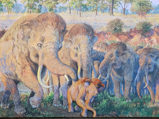 National Park «Waco Mammoth National Monument», reviews and photos, 6220 Steinbeck Bend Dr, Waco, TX 76708, USA