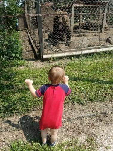 Zoo «Cricket Hollow Zoo», reviews and photos, 1512 210th St, Manchester, IA 52057, USA