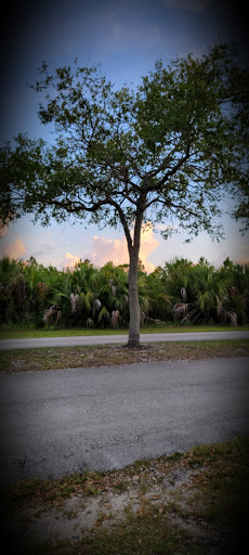 Park «Larry and Penny Thompson Park», reviews and photos, 12451 SW 184th St, Miami, FL 33177, USA