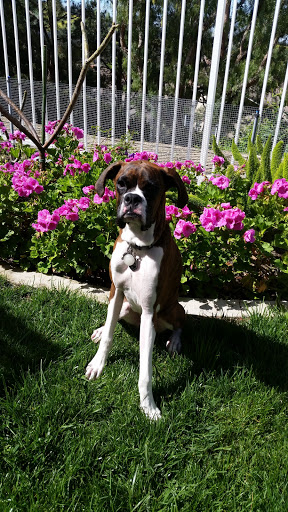 Pet Supply Store «Pet Supply Warehouse», reviews and photos, 5729 E La Palma Ave, Anaheim, CA 92807, USA