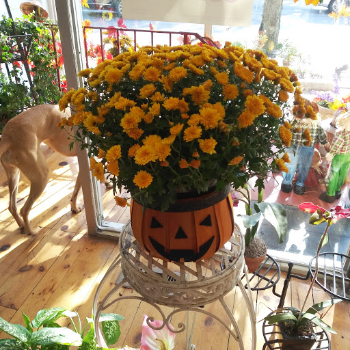 Florist «Biddle Avenue Florist», reviews and photos, 2848 Biddle Ave, Wyandotte, MI 48192, USA