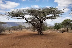 Nisela Nature Reserve image