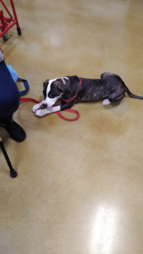 Pet Supply Store «PetSmart», reviews and photos, 5241 Monroe St, Toledo, OH 43623, USA