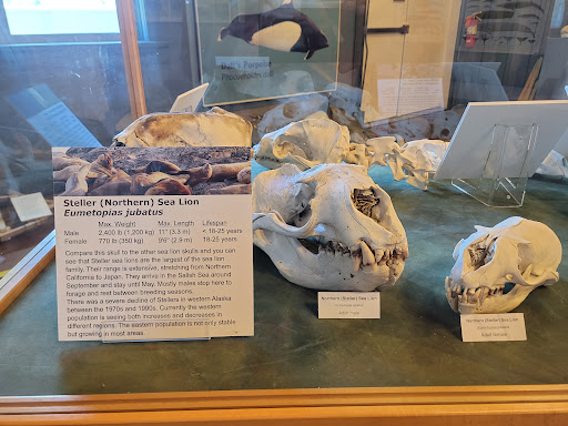 Museum «The Whale Museum», reviews and photos, 62 1st St, Friday Harbor, WA 98250, USA