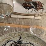 Photo n°1 de l'avis de massimo.a fait le 13/06/2022 à 19:03 sur le  Enó à Prato