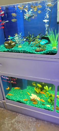 Pet Store «Southside Aquatics», reviews and photos, 2039 Pleasanton Rd, San Antonio, TX 78221, USA