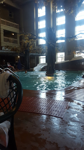 Water Park «Crawdaddy Cove Indoor Water Park», reviews and photos, 1109 Fourier Dr, Madison, WI 53717, USA