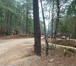 Montetik photo