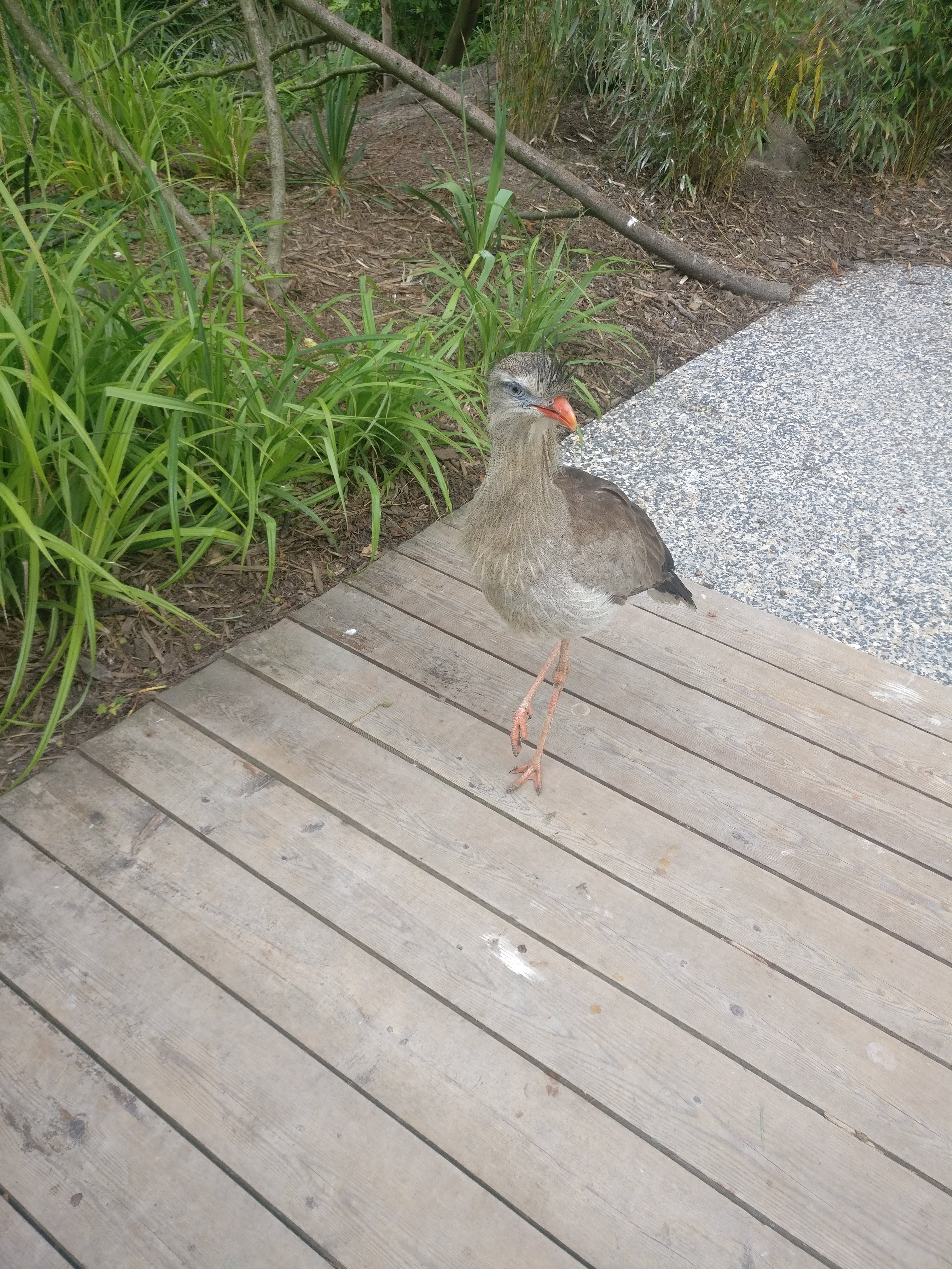 Photo n° 13 de l'avis de Alexia.o fait le 13/08/2018 à 09:32