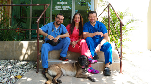 Medical Veterinary Specialty Center CEMVET