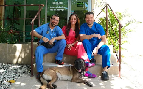 Medical Veterinary Specialty Center CEMVET image