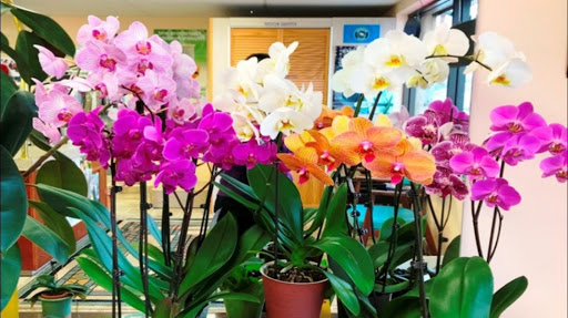 3500 Lincoln Hwy, Thorndale, PA 19372, USA