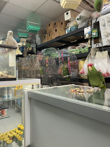 La Jungla Pet Shop