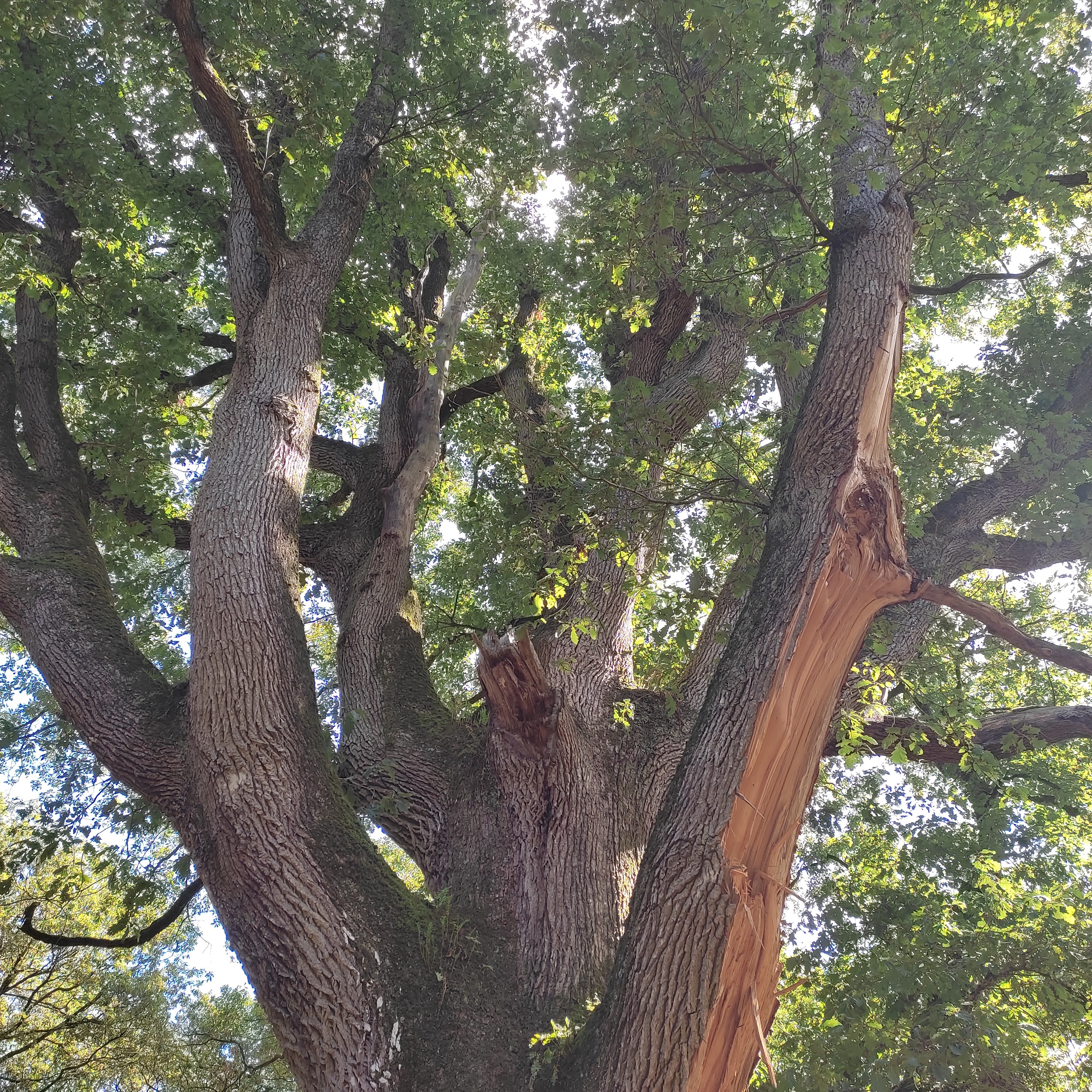 Photo n° 3 de l'avis de Veronique.e fait le 10/09/2022 à 16:50