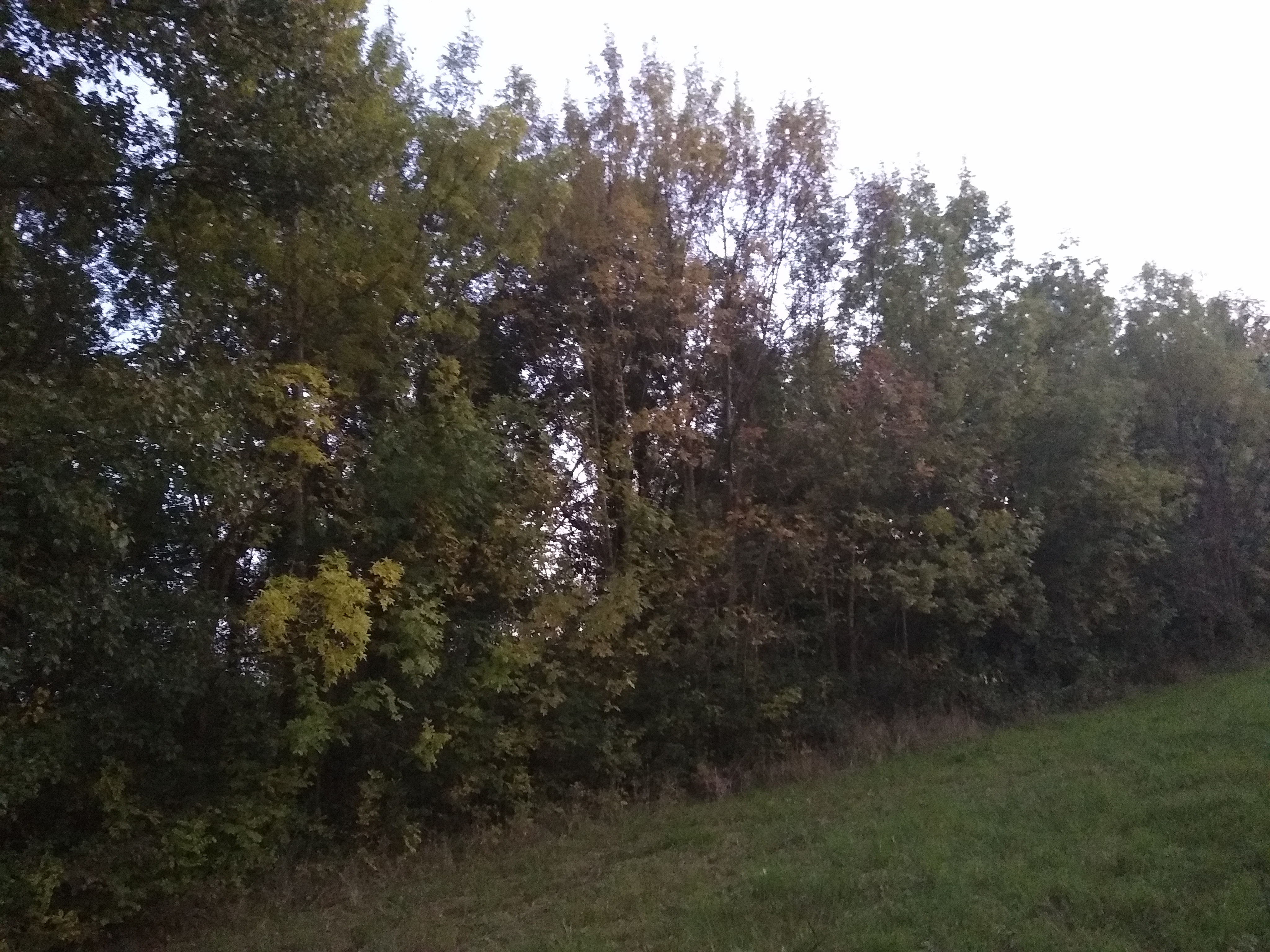 Photo n° 22 de l'avis de Cahrla.l fait le 08/10/2020 à 18:42