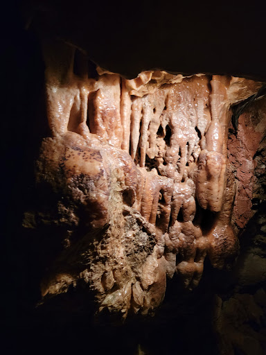 Tourist Attraction «Inner Space Cavern», reviews and photos, 4200 I-35, Georgetown, TX 78626, USA