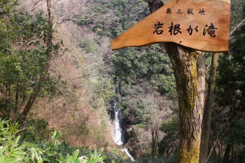 奥三瓶峡 岩根が滝