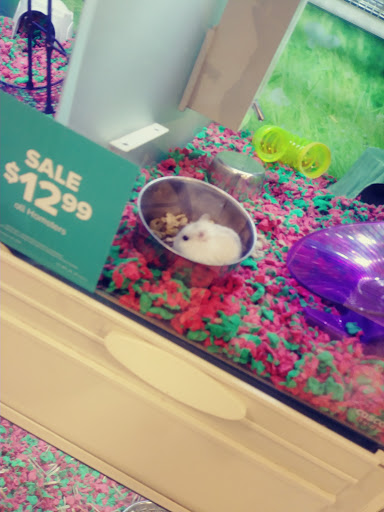 Pet Supply Store «PetSmart», reviews and photos, 4421 Virginia Beach Blvd, Virginia Beach, VA 23462, USA