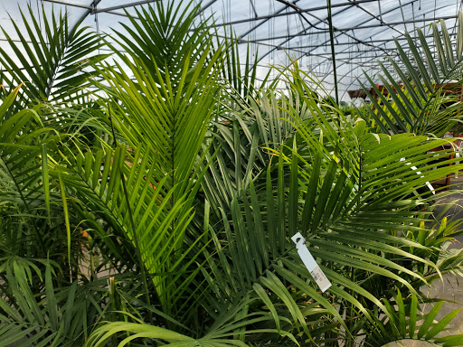 Garden Center «Beachside Gardens & Gifts», reviews and photos, 3725 US-12, Michigan City, IN 46360, USA