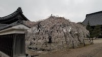 専修坊