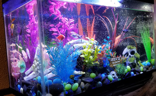 Pet Supply Store «Petco Animal Supplies», reviews and photos, 10235 Indianapolis Blvd, Highland, IN 46322, USA