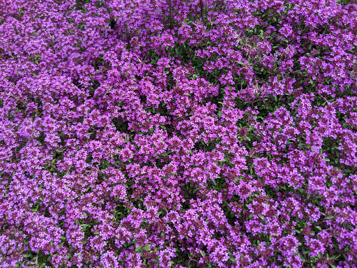 Tourist Attraction «NatureScaping Wildlife Botanical Gardens», reviews and photos, 11000 NE 149th St, Brush Prairie, WA 98606, USA