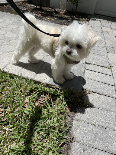 Store «HealthePets Market», reviews and photos, 155 Toney Penna Dr, Jupiter, FL 33458, USA