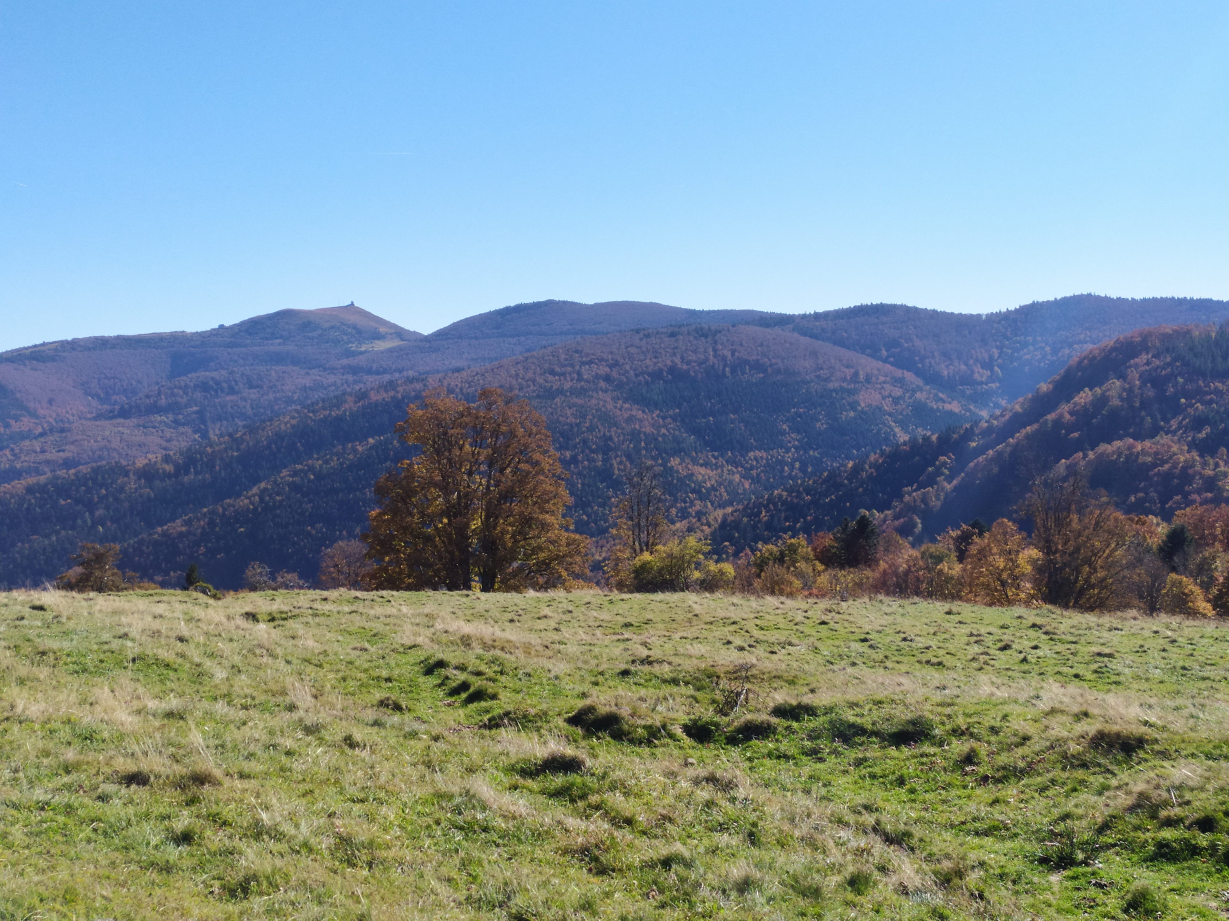 Photo n° 2 de l'avis de Eric.o fait le 07/11/2021 à 14:17