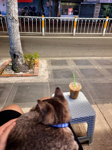 Top 7 cửa hàng passio Huyện Nam Sách Hải Dương 2022