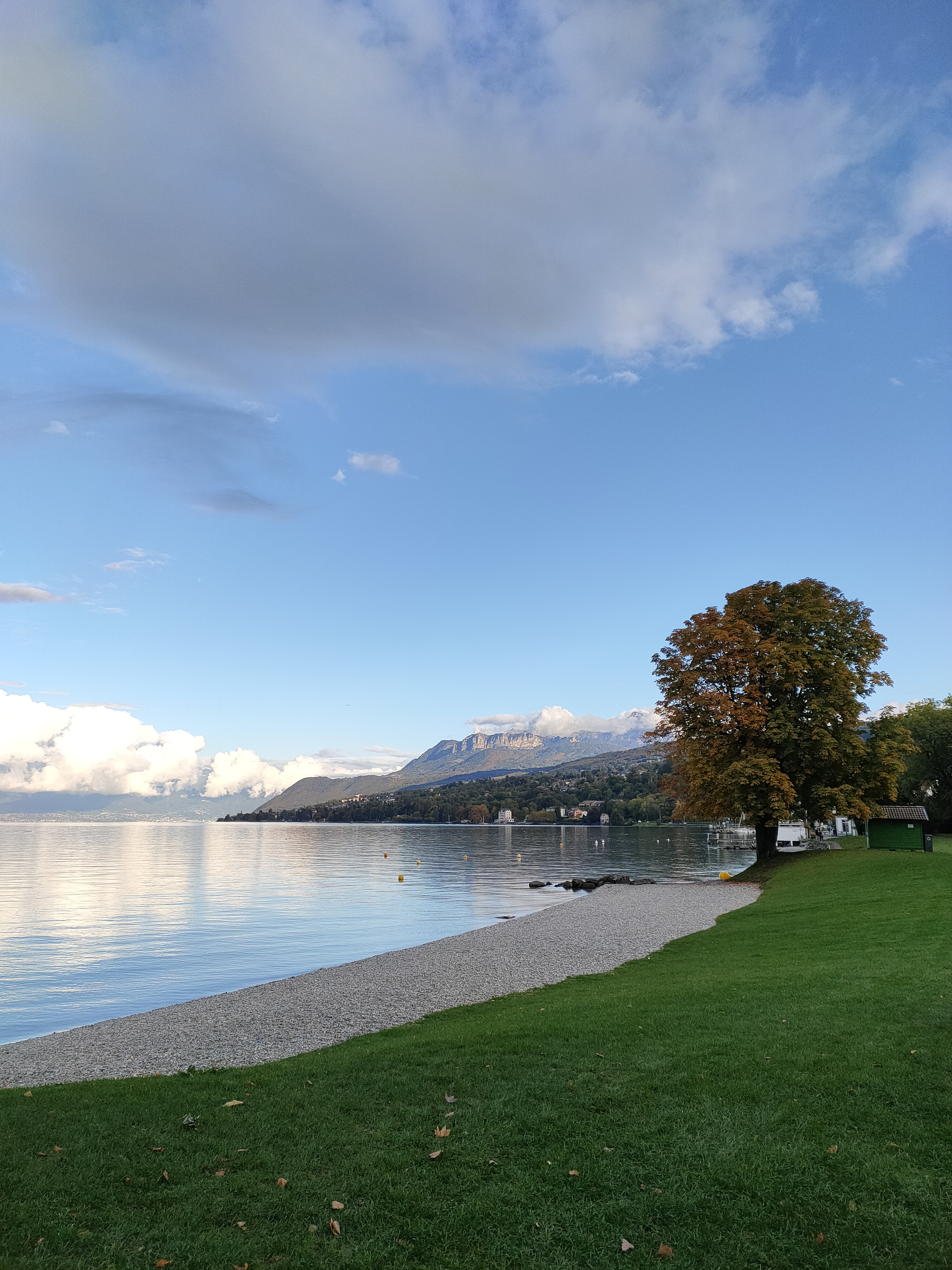 Photo n° 1 de l'avis de Littlerainbow. fait le 10/10/2020 à 16:55