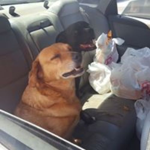 Pet Store «For Healthy Pets!», reviews and photos, 5165 Atlanta Hwy, Montgomery, AL 36109, USA