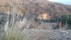 Charmlee Wilderness Park - photo 67