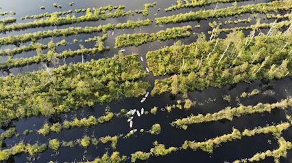 Boards You SUP piedzīvojumu maršruts Ķemeru tīrelī