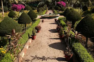 Amrut Bagh Fruit Research Station Junagadh Agricultural University Mangrol image