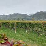 Photo n°2 de l'avis de Irene. fait le 14/10/2023 à 10:17 sur le  Kaltern am See à Kaltern an der Weinstraße