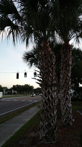 Discount Store «Dollar General», reviews and photos, 607 N Central Ave, Umatilla, FL 32784, USA