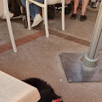 Photo n° 1 de l'avis de Justine.r fait le 14/09/2023 à 20:53 pour Cap Nord à Wimereux