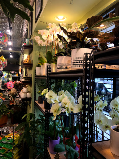 Florist «Avenue J Florist», reviews and photos, 1502 Avenue J, Brooklyn, NY 11230, USA