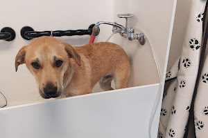 Salty Dogs DIY Dog Wash