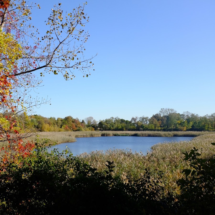Ridgewood Reservoir