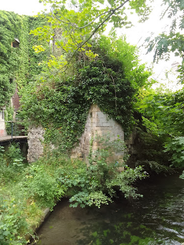 Parc de la mairie d harfleur à Harfleur