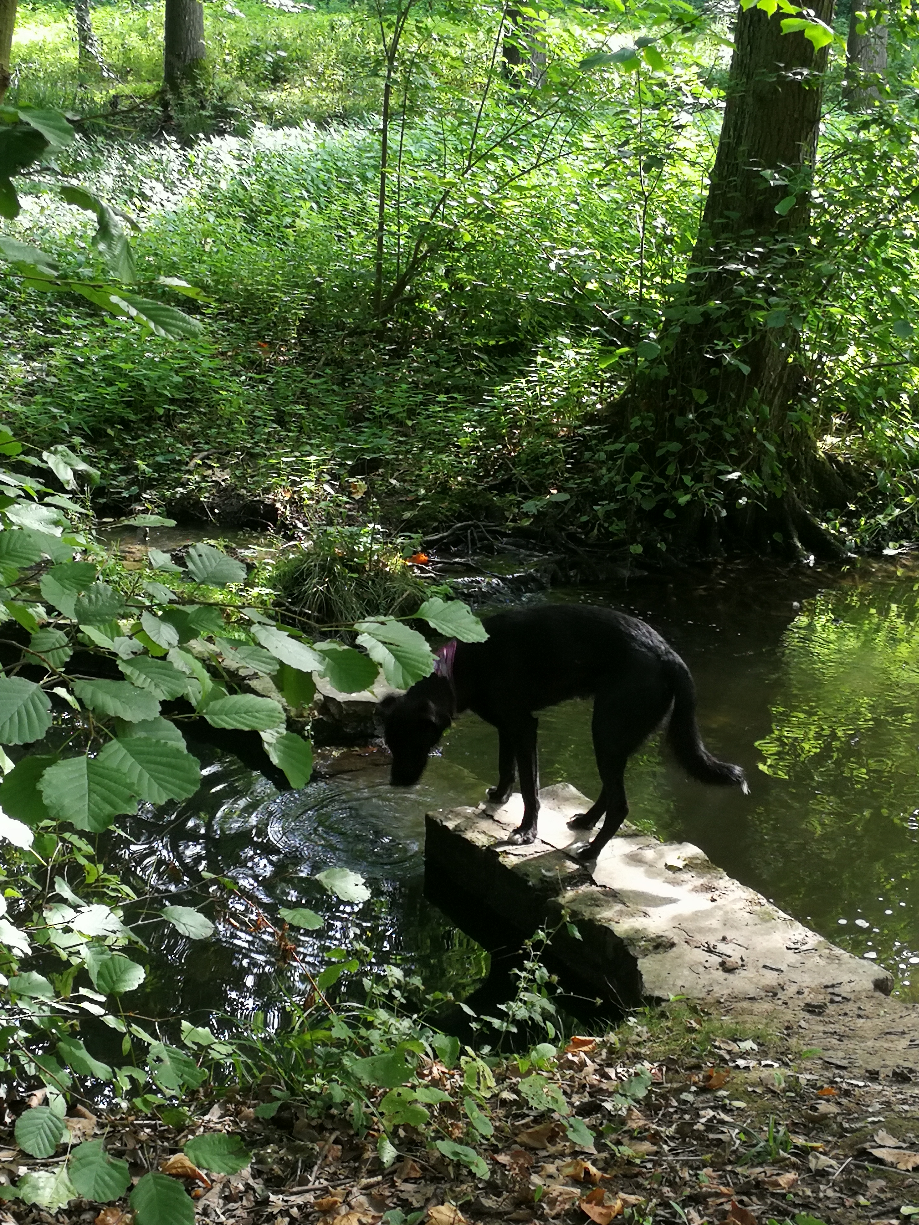 Photo n° 2 de l'avis de Cindy.o fait le 01/09/2017 à 09:42