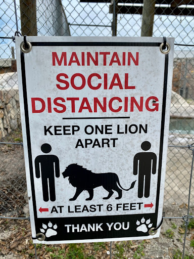 Non-Profit Organization «Big Cat Habitat & Gulf Coast Sanctuary», reviews and photos, 7101 Palmer Blvd, Sarasota, FL 34240, USA