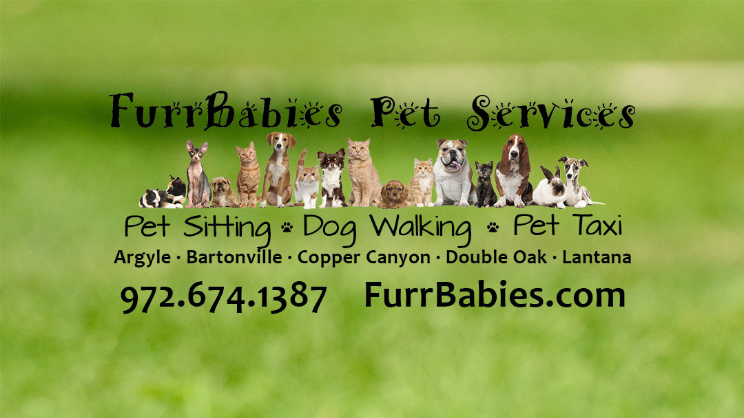 FurrBabies Pet Services, Pet Sitting and Dog Walking