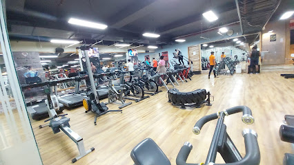 Sparta Gym - Plot No. 84 Gate No. 3, Radisson Blu 85, opp. Hotel, Sector 13, Dwarka, Delhi, 110075, India